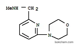 N-METHYL-N-[(6-MORPHOLIN-4-YLPYRIDIN-2-YL)METHYL]아민