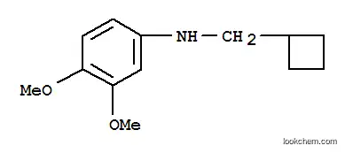 시클로부틸메틸-(3,4-디메톡시-페닐)-아민