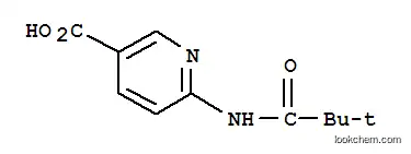 6-(2,2-디메틸-프로피오닐아미노)-니코틴산