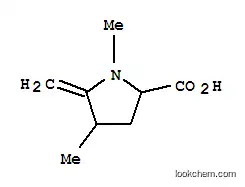 프롤린, 1,4-디메틸-5-메틸렌-(7CI)