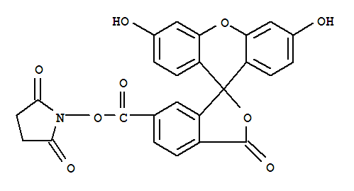 6-CarboxyfluoresceinN-succinimidylester