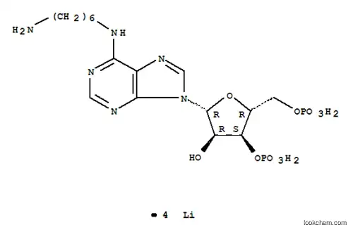 N6-(6-아미노헥실)아데노신 3′,5′-DIPHOSP HATE LITHI