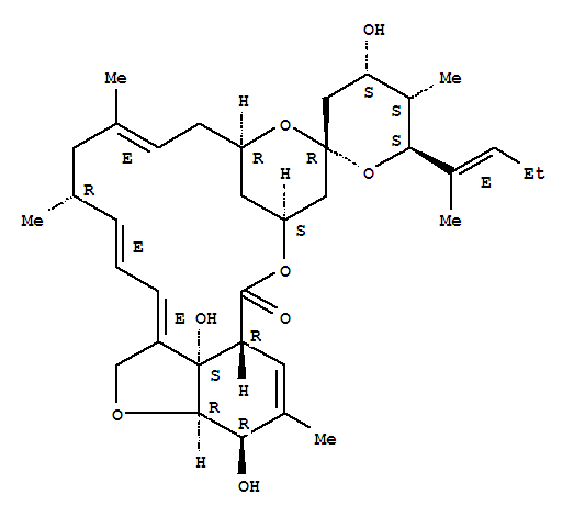 Click to see the large picture