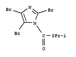 Click to see the large picture