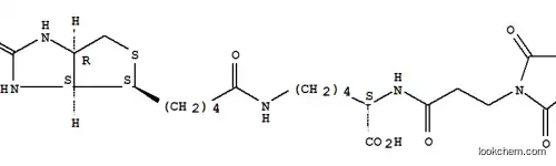 3-(N-マレイミドプロピオニル)ビオシチン