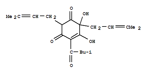 Click to see the large picture