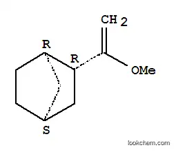 엑소-2-(1-메톡시에테닐)바이사이클로[2.2.1]헵탄