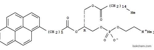 1-헥사데카노일-2-(1-피렌헥사노일)-SN-글리세로-3-포스포콜린
