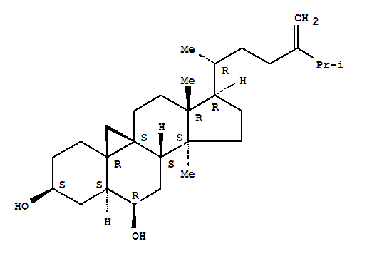 Click to see the large picture