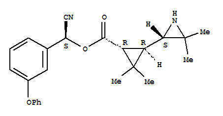 Click to see the large picture