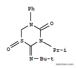 2-(tert-ブチルイミノ)-4-オキソ-5-フェニル-3-(プロパン-2-イル)-1,3,5-チアジアジナン-1-イウム-1-オラート
