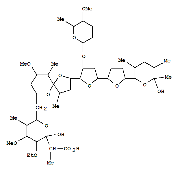 Click to see the large picture