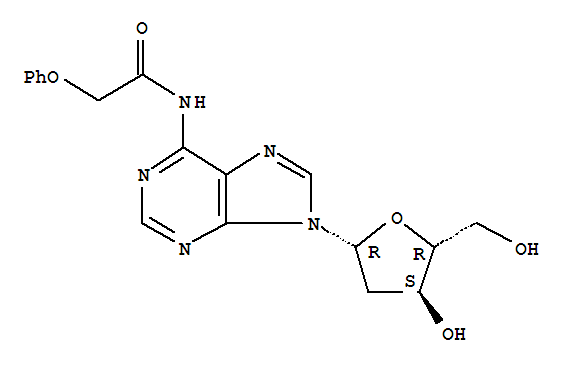 N6-phenoxyacetyl-2'-Deoxyadenosine