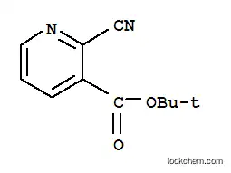 tert-부틸-2-시아노니코티네이트