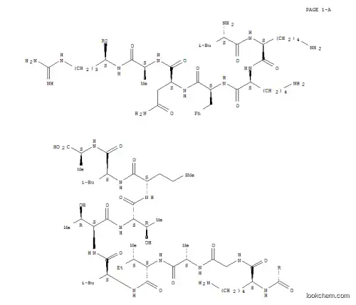 칼모듈린 의존성 단백질 키나제 II(290-309)