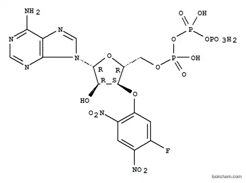 3'-O-(5-플루오로-2,4-디니트로페닐)ATP 에테르