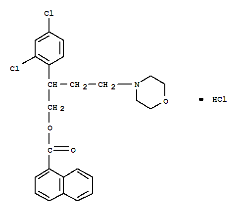 Click to see the large picture