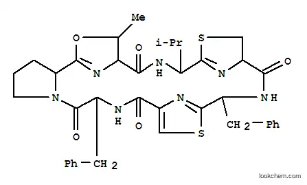 리소클린아미드 6