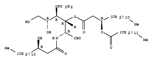 Click to see the large picture