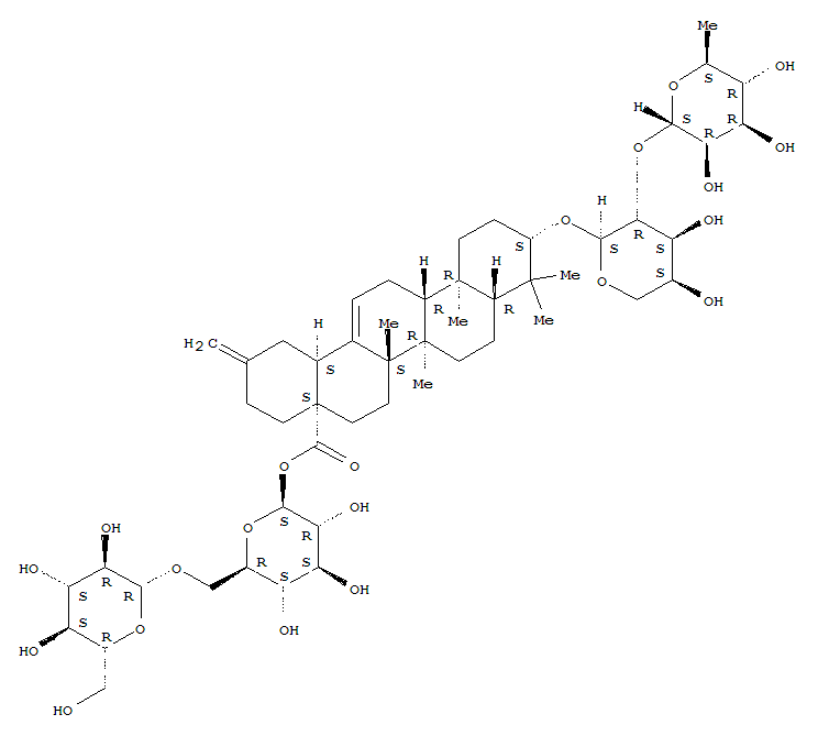 Click to see the large picture