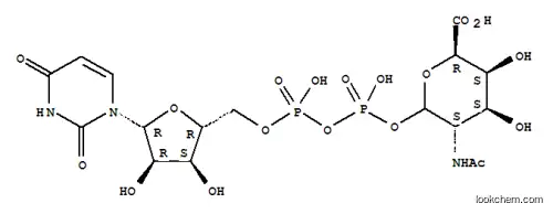 UDP-2-아세트아미도-2-데옥시갈락투론산