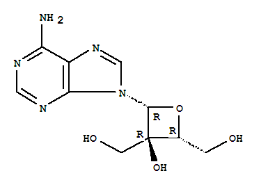 Click to see the large picture