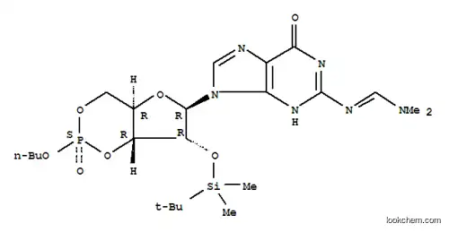 n-부틸 2'-디메틸-tert-부틸실릴-N(2)-(N,N-디메틸아미노)메틸렌-구아노신 3,',5'-사이클릭 포스페이트