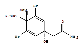 Click to see the large picture