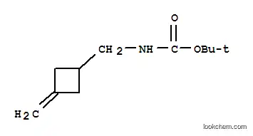 카르밤산, [(3-메틸렌사이클로부틸)메틸]-, 1,1-디메틸에틸 에스테르(9CI)