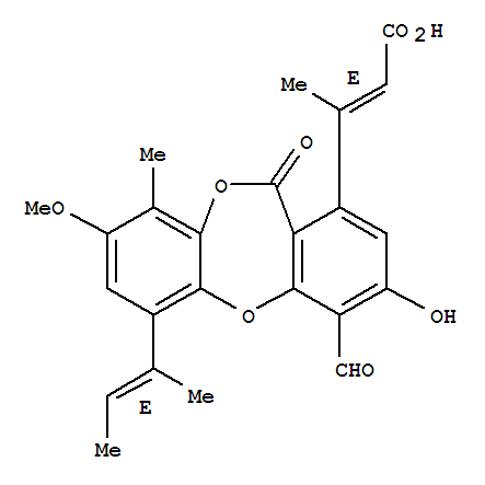 Click to see the large picture