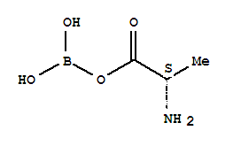 Click to see the large picture