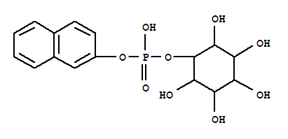 Click to see the large picture