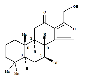 Click to see the large picture