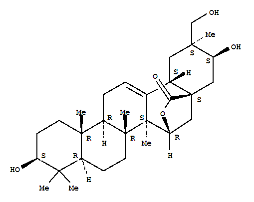 Click to see the large picture