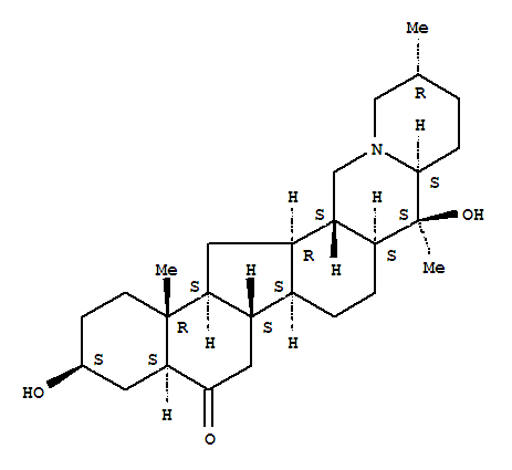 Click to see the large picture