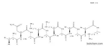 マストパラン17