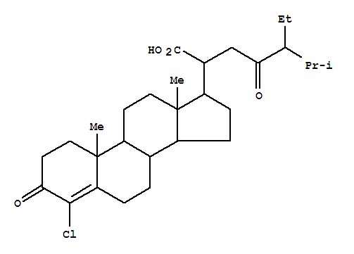 Click to see the large picture