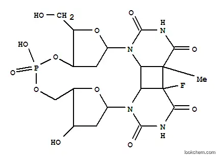 디옥시티미딘 포스페이트 플루오로우리딘
