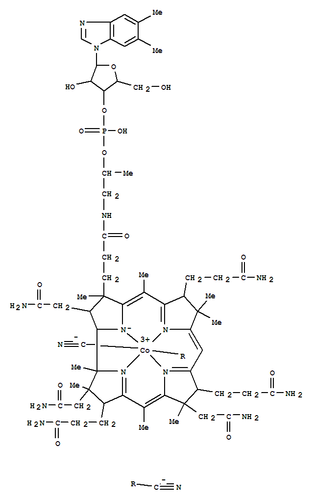 Click to see the large picture