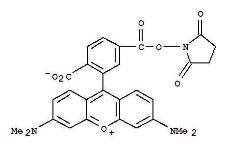 6-Carboxytetramethylrhodaminesuccinimidylester
