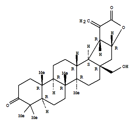 Click to see the large picture