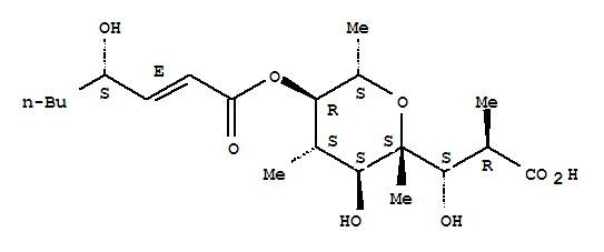 Click to see the large picture