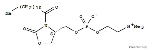 3-도데카노일-4-포스파티딜콜리노하이드록시메틸-2-옥사졸리디논