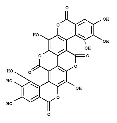 Click to see the large picture