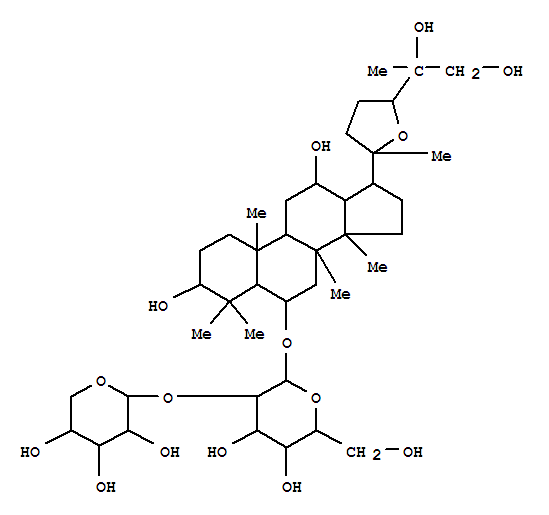 Click to see the large picture