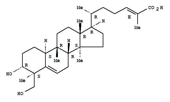 Click to see the large picture