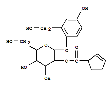 Click to see the large picture