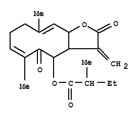 Click to see the large picture