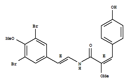 Click to see the large picture