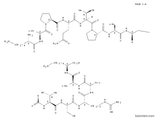 미토젠 활성화 단백질 키나제 2 단편 326-339